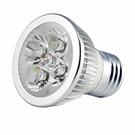 4W E27 LED Spotlight Bulb